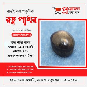Star Nila Stone স্টার নীলা পাথর