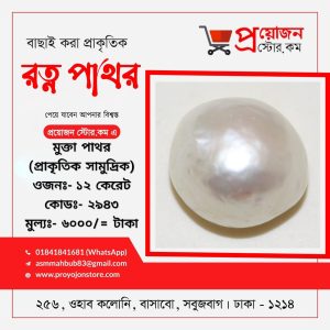 Pearl Stone Sea সামুদ্রিক মুক্তা পাথর